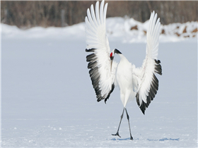 Java中File类的使用